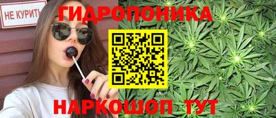 дживик Кингисепп